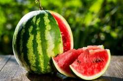 Цены на арбузы в Украине бьют рекорды