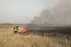 Ліквідація пожежі в екосистемі Києва