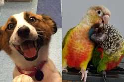 Трогательные фото животных, которых забрали из приюта новые любящие хозяева