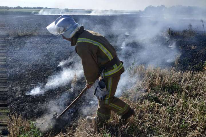 На Київщині вогонь знищив 30 тюків соломи на полі (фото)