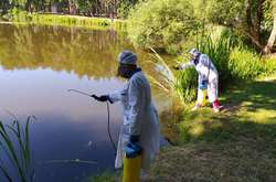 Ларвіцидні обробки прибережних смуг водойм