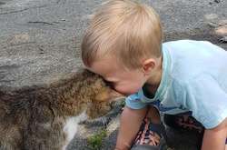 Фото животных, которые поднимут вам настроение даже в самый плохой день