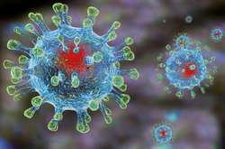 Украинцы умирают от коронавируса, а деньги из спецфонда власть уже «распилила»