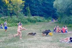 В Германии дикие кабаны украли одежду у отдыхающего на пляже (фото)