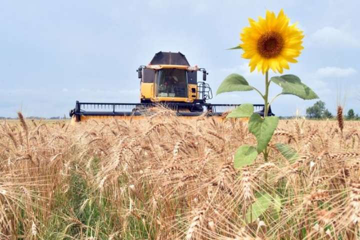 В Україні сільгоспвиробництво цьогоріч впало майже на 20%