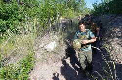  Володимир Зеленський сподівається, що Нормандська четвірка зафіксує успіхи перемир'я на Донбасі 