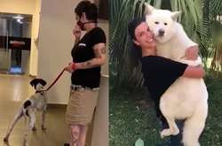 После взрыва в Бейруте волонтеры помогают воссоединиться хозяевам с их животными: трогательное видео