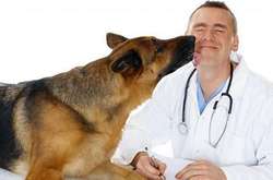 9 серпня: яке сьогодні свято, прикмети і заборони