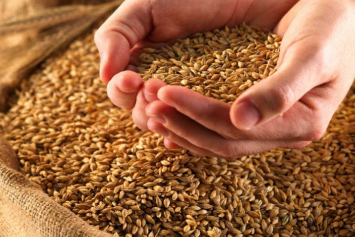 Закупочные цены на украинскую пшеницу резко упали
