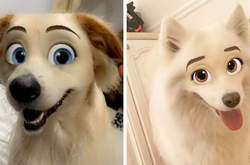 Фото собак, которые выглядят точь-в-точь, как диснеевские персонажи