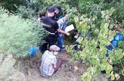 Місце вбивства Софії Недобой