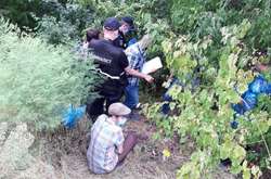 Місце вбивства дівчинки