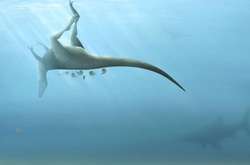 Вчені знайшли рештки нового виду динозаврів