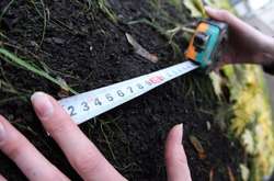 Шахрайка заволоділа земельною ділянкою в Києві вартістю 1,8 млн грн