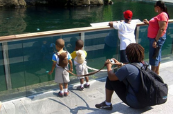 В целях безопасности: женщина гуляла в парке с ребенком на поводке (видео)