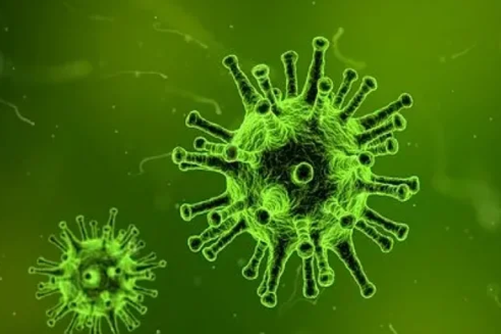 Вчені оприлюднили нову версію виникнення коронавірусу