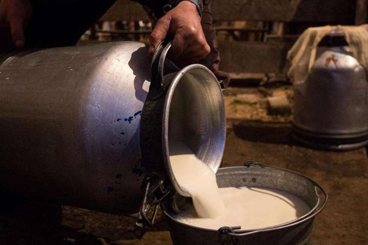 В Україні стрімко падає виробництво молока