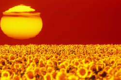 Прогноз погоды на 17 августа: в Украину возвращается летняя жара