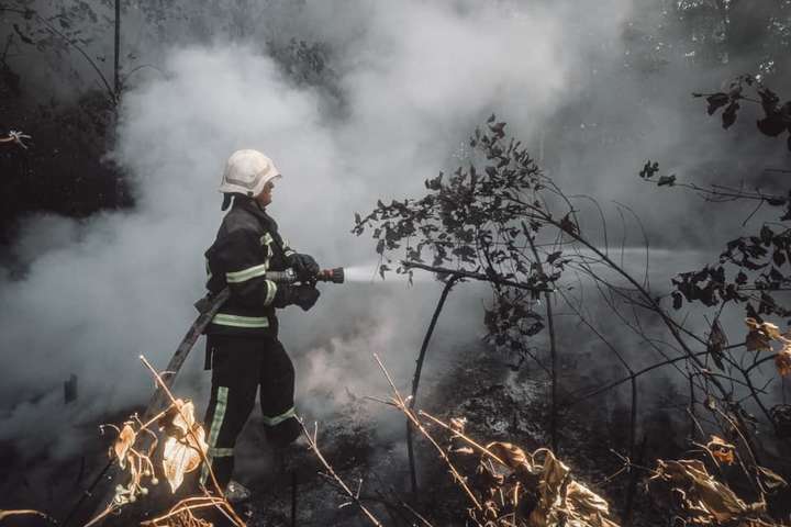 Київ та область потерпають від пожеж в екосистемах 
