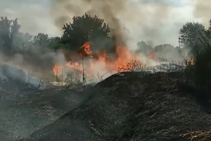 На Луганщині горить ліс