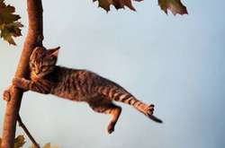 21 серпня сильні вітри, кажуть, з'являються з нізвідки