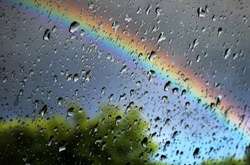 Дощі з грозами та спека: прогноз погоди в Україні на 21 серпня