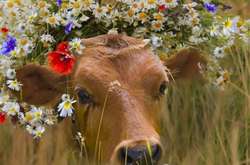22 августа: какой сегодня праздник, приметы и запреты