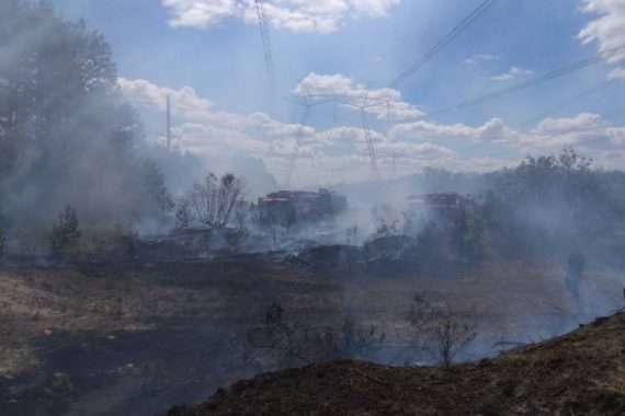 В Україні зберігається надзвичайний рівень пожежної небезпеки, – ДСНС