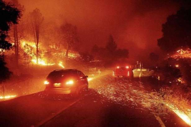 Трамп наказав надати федеральну допомогу Каліфорнії через масштабні лісові пожежі
