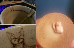 Фото оптических иллюзий, которые превратили обычные вещи в кошек