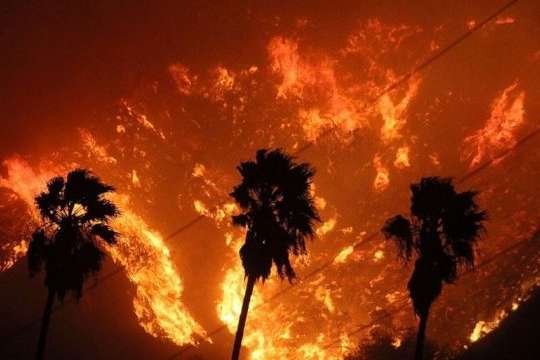 У Каліфорнії згоріли понад пів мільйона гектарів лісів