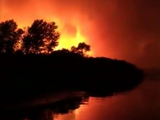 На Херсонщине пылает национальный парк – выгорела огромная территория (видео)