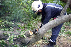 Рятувальники прибрали дерева з дороги