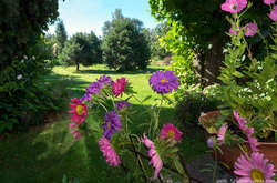 Погода на 27 августа: на западе дожди, на юге – жарко