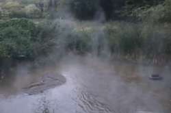 В озера в Голосіївському парку Києва зливають гарячу воду (відео)