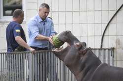 Кличко у київському зоопарку погодував кавунами слона і бегемотиху (фото)