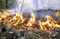 Українців попередили про надзвичайний рівень пожежної небезпеки
