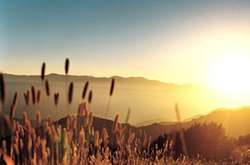 В Україні в усіх регіонах спостерігатиметься спекотна погода