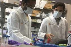 Ученые обнаружили абсолютный иммунитет от коронавируса