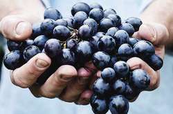 Фрукты, которых следует избегать при диабете