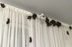 Просто на ночь забыли закрыть окно