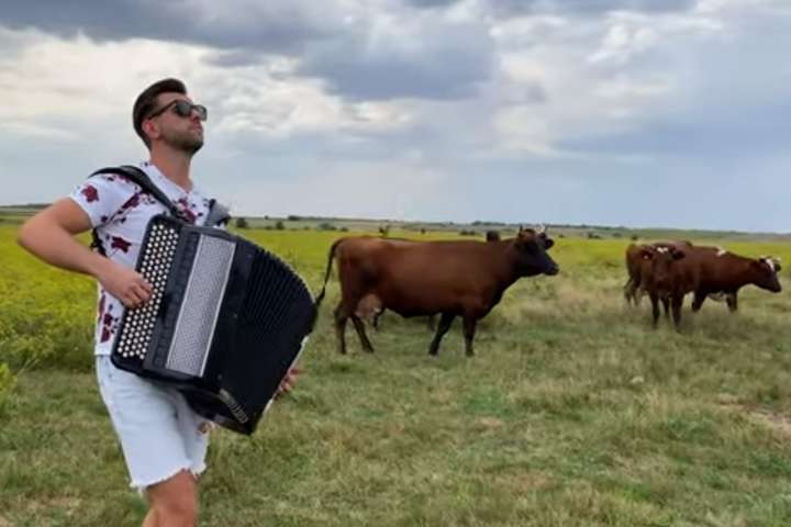 Кумедний концерт посеред поля: як корови слухали живу музику