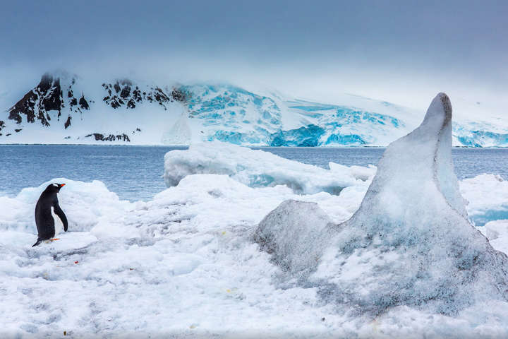 Льодові щити в Гренландії й на&nbsp;Антарктиці, танення яких стрімко прискорюється, вже призвели до підняття рівня моря на 1,8 сантиметра з 1990-х років - Науковці стверджують, що клімат Землі змінюється за найгіршим сценарієм