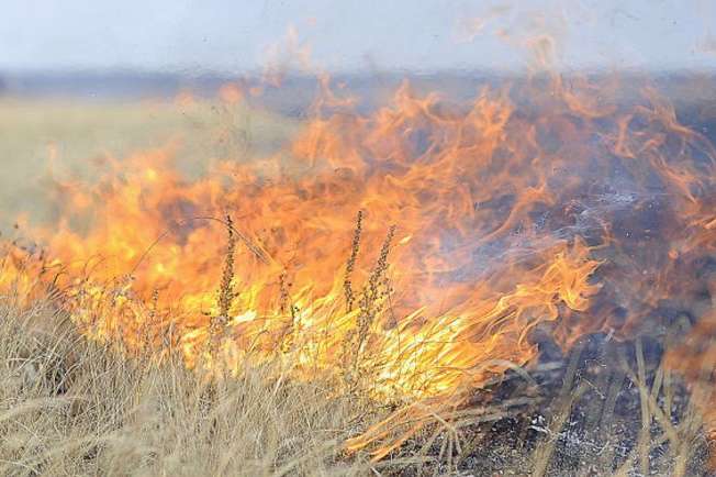 Пожар в Луганской области: детонируют мины, есть пострадавший