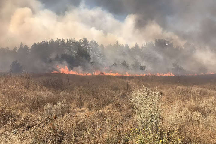 На Харьковщине горит 10 гектаров леса (фото)