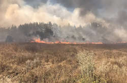 На Харьковщине горит 10 гектаров леса (фото)