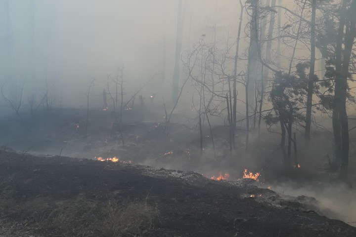 На Харківщині рятувальники гасять масштабну пожежу потягом і літаком