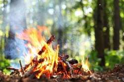 У Києві оголошено високий рівень пожежної небезпеки