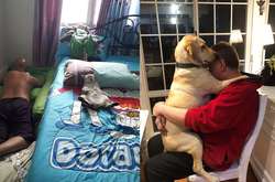 Фото суровых отцов, которым «не нужны были эти глупые кошки и собаки в доме»