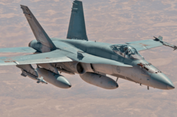 Загін Королівських ВПС Канади складається приблизно зі 135 осіб особового складу та шести винищувачів CF-188 Hornet